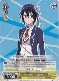 Seishiro Tsugumi
