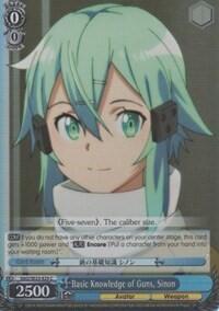 Basic Knowledge of Guns, Sinon (Parallel Foil)