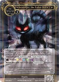 Schrodinger, the Fallen Black Cat