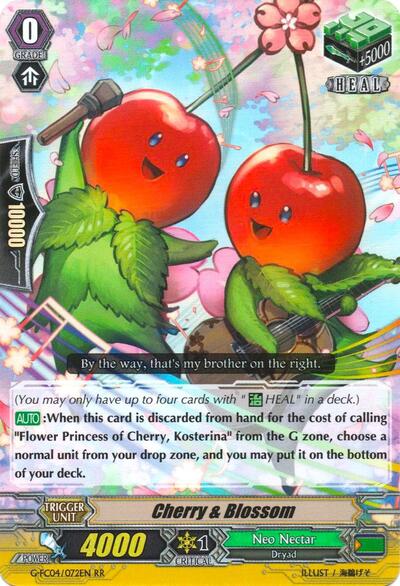 Cherry & Blossom