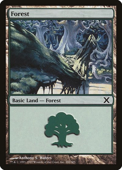 Forest (380)