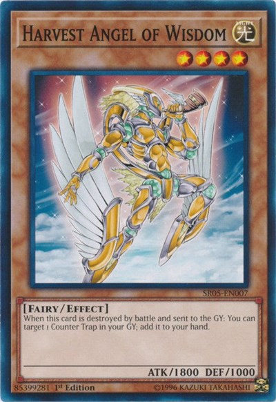Harvest Angel of Wisdom