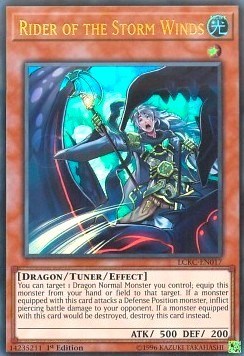 Rider of the Storm Winds