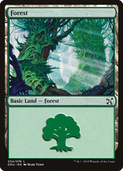 Forest (034)