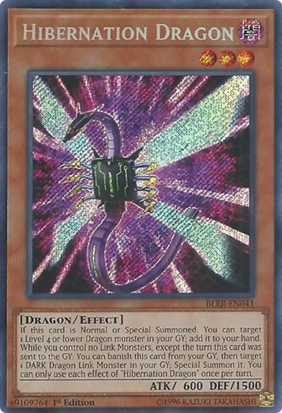 Hibernation Dragon