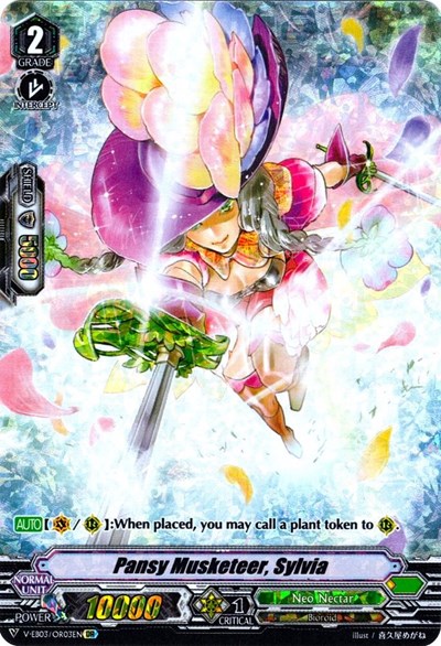 Pansy Musketeer, Sylvia (OR)