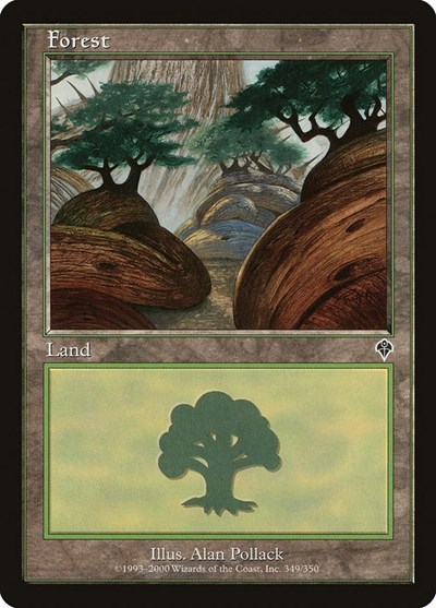 Forest (349)