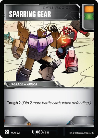 Sparring Gear