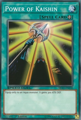 Power of Kaishin