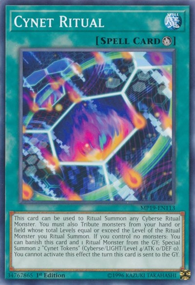 Cynet Ritual