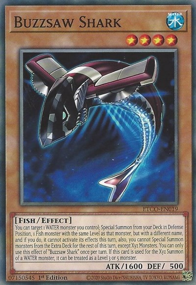Buzzsaw Shark