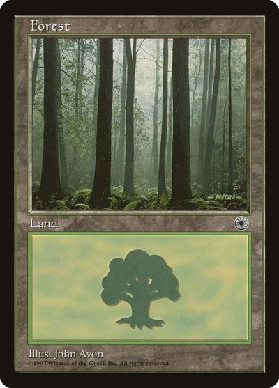 Forest (Ferns on Ground)