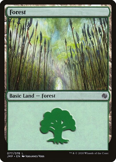 Forest (077)
