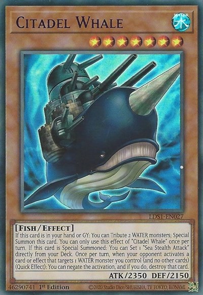Citadel Whale (Purple)