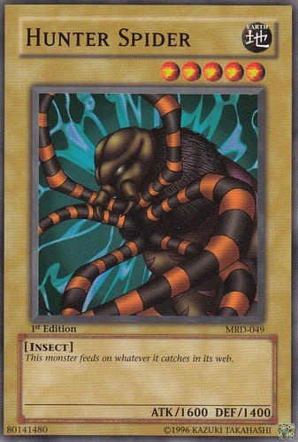 Hunter Spider