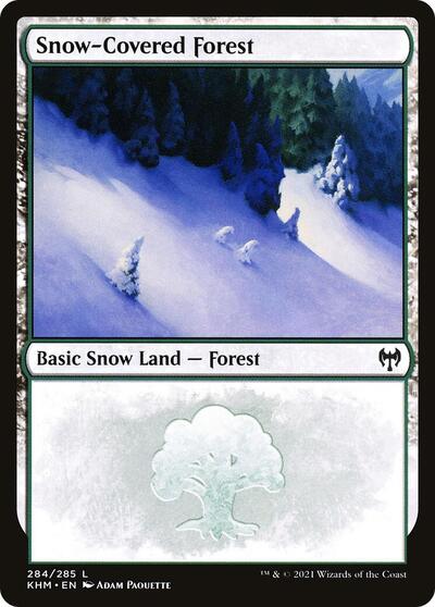 Snow-Covered Forest (284)