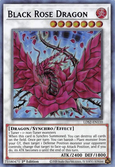 Black Rose Dragon (Purple)