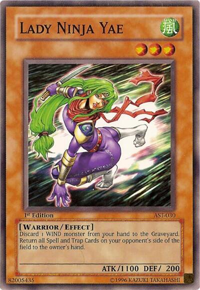 Lady Ninja Yae