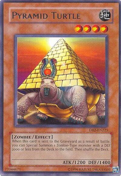 Pyramid Turtle