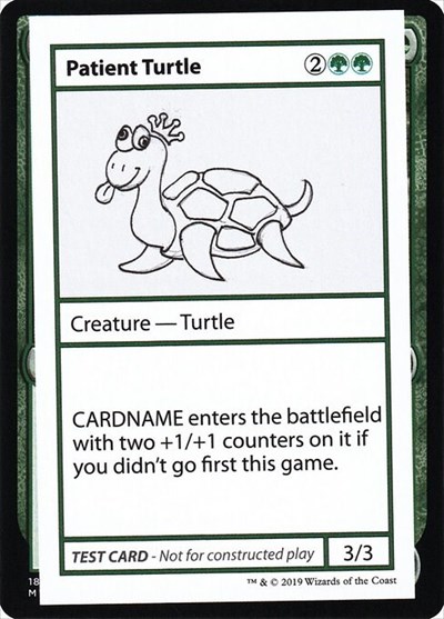 Patient Turtle (No PW Symbol)