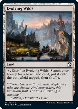 Evolving Wilds