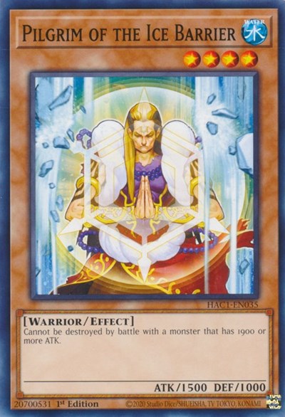 Pilgrim of the Ice Barrier