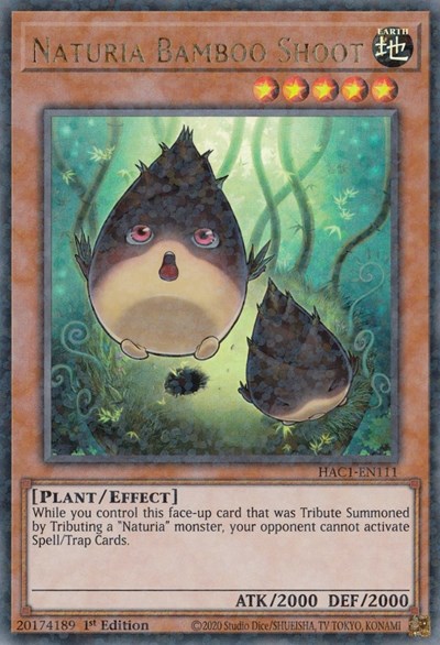Naturia Bamboo Shoot (Duel Terminal)