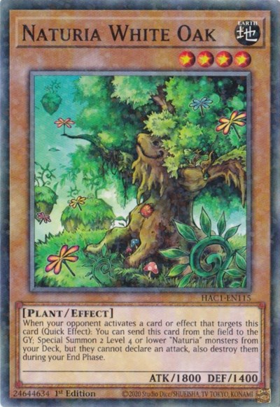 Naturia White Oak (Duel Terminal)