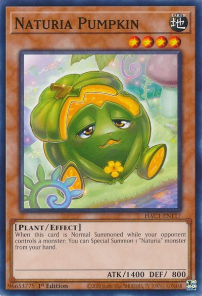 Naturia Pumpkin