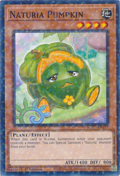 Naturia Pumpkin (Duel Terminal)