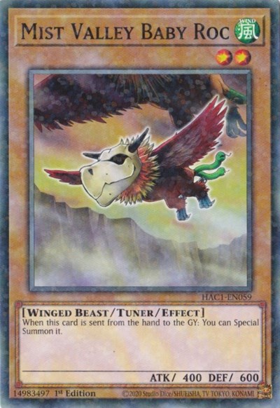 Mist Valley Baby Roc (Duel Terminal)