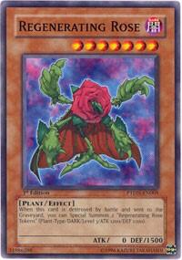Regenerating Rose