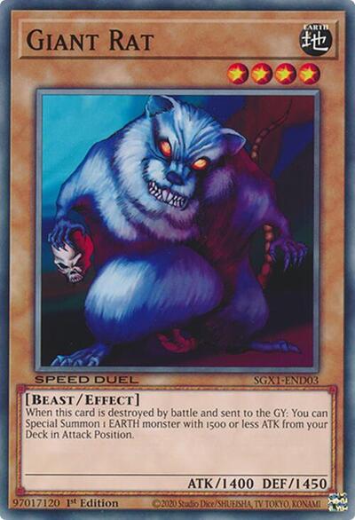 Giant Rat