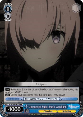 Unexpected Sight, Mash Kyrielight