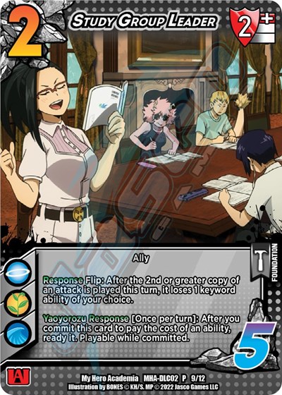 Study Group Leader