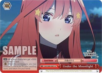 Under the Moonlight