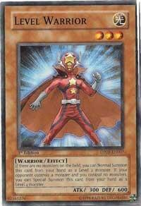Level Warrior