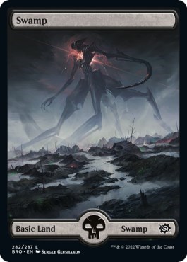 Swamp (282) - Full Art