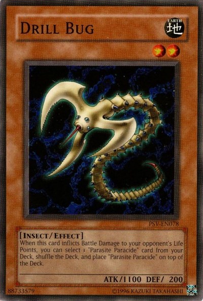 Drill Bug