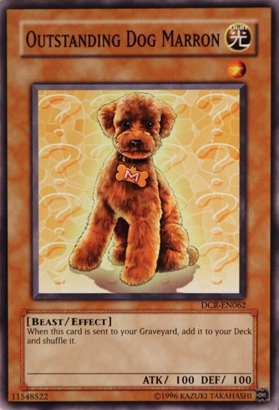 Outstanding Dog Marron
