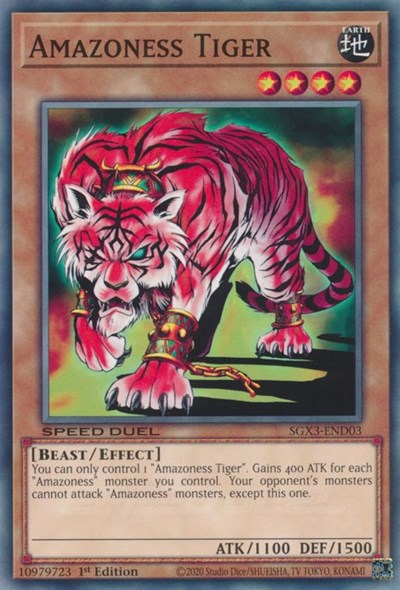 Amazoness Tiger