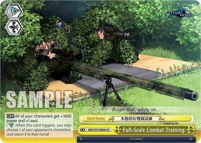 Full-Scale Combat Training