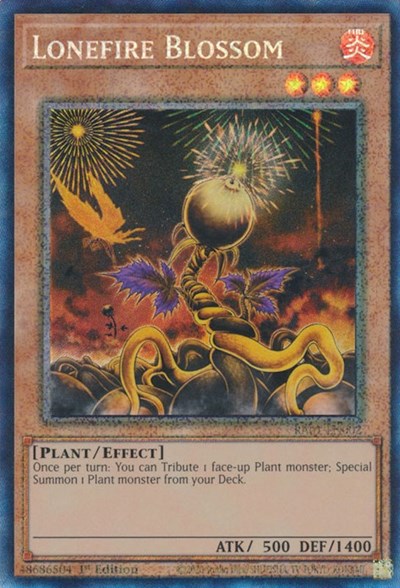 Lonefire Blossom (PCR)
