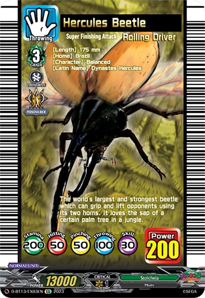 Hercules Beetle