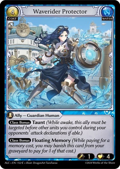 Waverider Protector