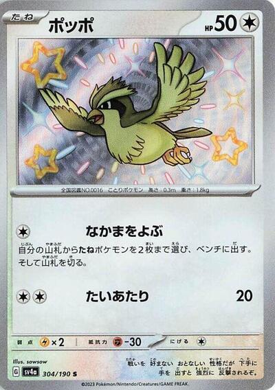 Pidgey - 304/190