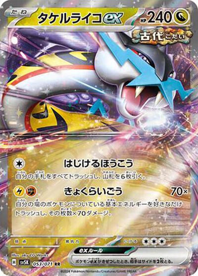 Raging Bolt ex - 053/071