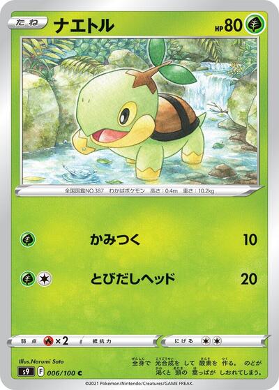 Turtwig