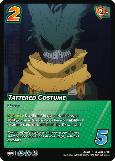 Tattered Costume