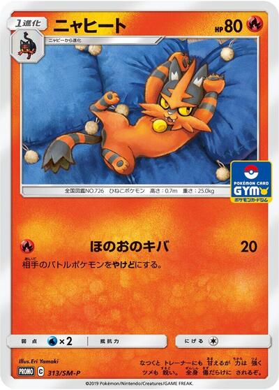 Torracat - 313/SM-P